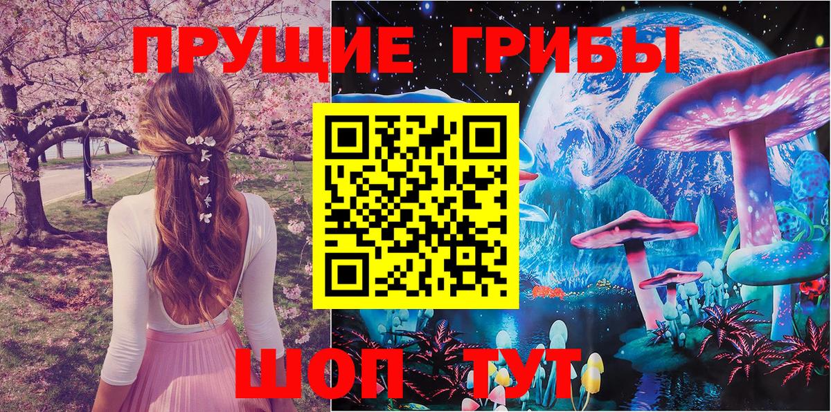 Псилоцибиновые грибы MAGIC MUSHROOMS  Псилоцибиновые грибы Cubensis  где можно купить   Вход с VPN  Фрязино 