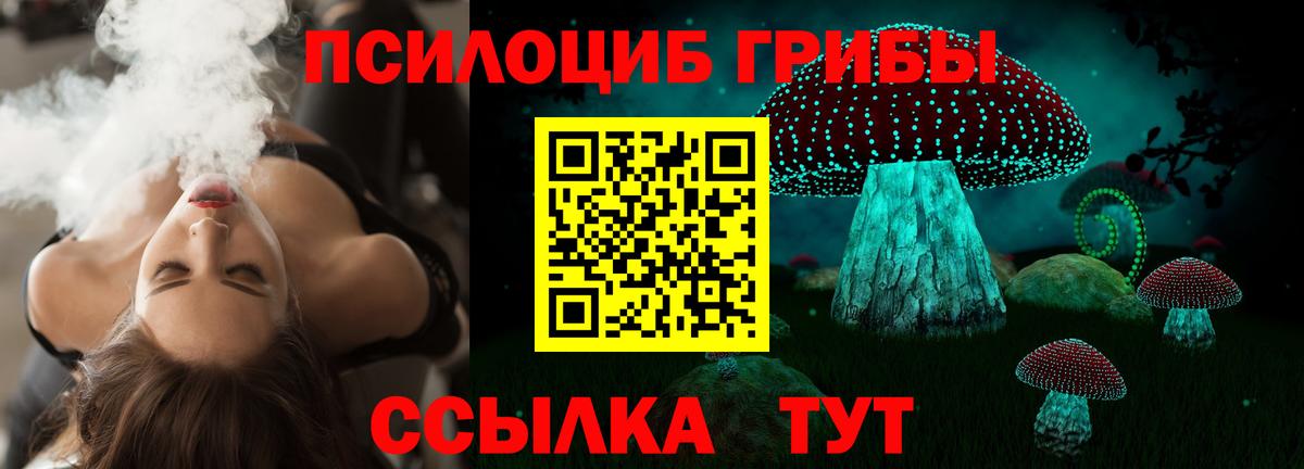 Псилоцибиновые грибы ЛСД Фрязино